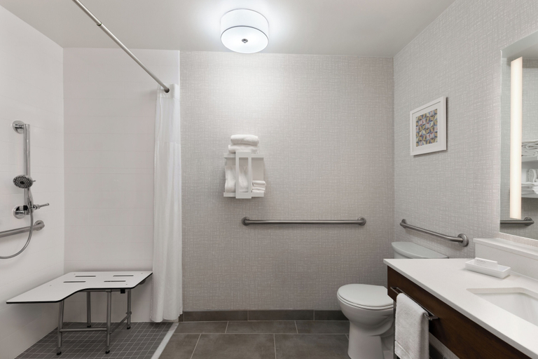 Bathroom 4, Hampton Inn & Suites Dothan, Houston
