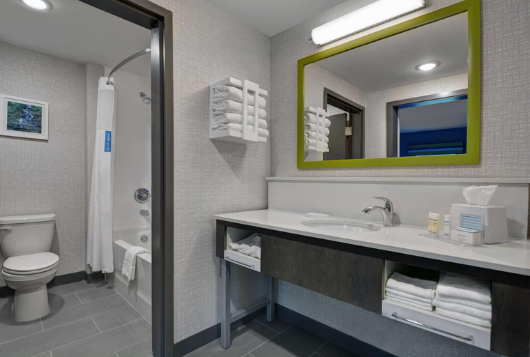 Bathroom 2, Hampton Inn and Suites MacClenny I-10, Baker