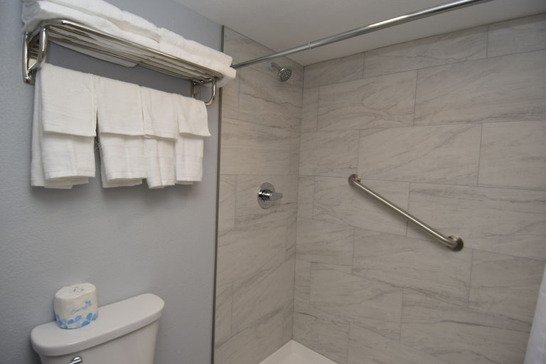 Others 5, Baymont by Wyndham Batavia - Darien Lake, Genesee