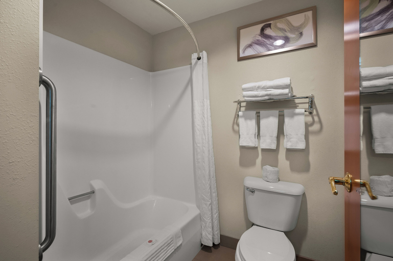 Bathroom 4, Comfort Inn & Suites Fenton, Genesee