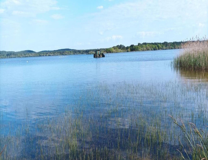 View from property 4, Studio in Biscarrosse Near Sandy Beach, Landes