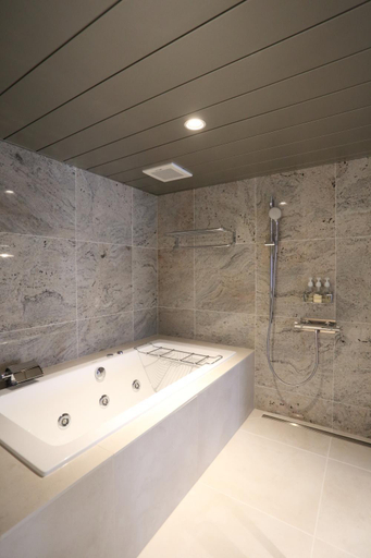 Bathroom 3, Konaya Hotel, Kōfu
