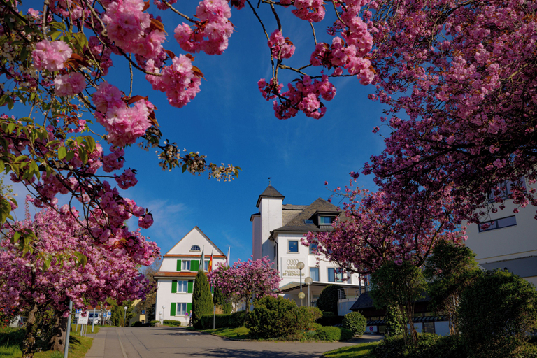 Exterior & Views 2, Parkhotel St. Leonhard, Bodenseekreis