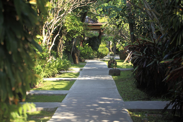 Scenery 4