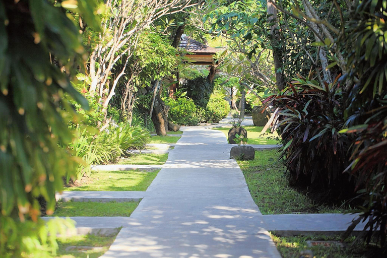 Scenery 12