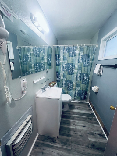 Bathroom 3, Falls Motel, Niagara