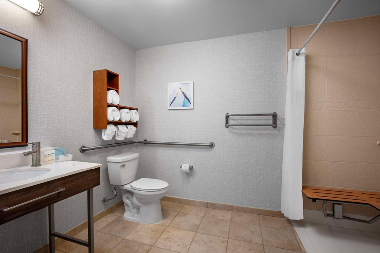 Bathroom, Hampton Inn & Suites by Hilton Homestead Miami South, Miami-Dade