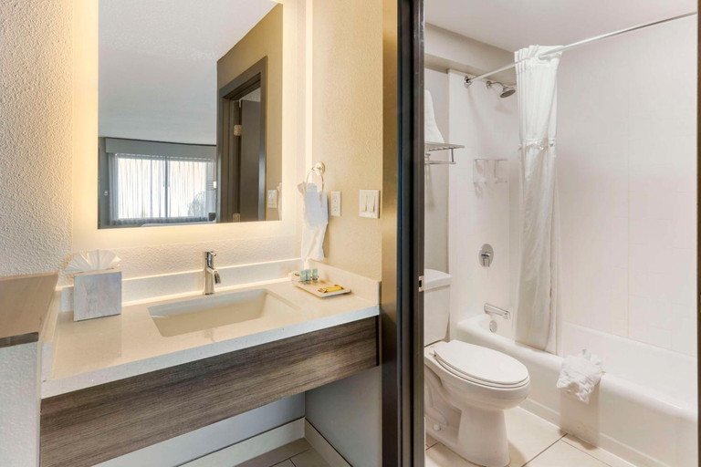 Bathroom 3, Aiden by Best Western South Reno, Washoe