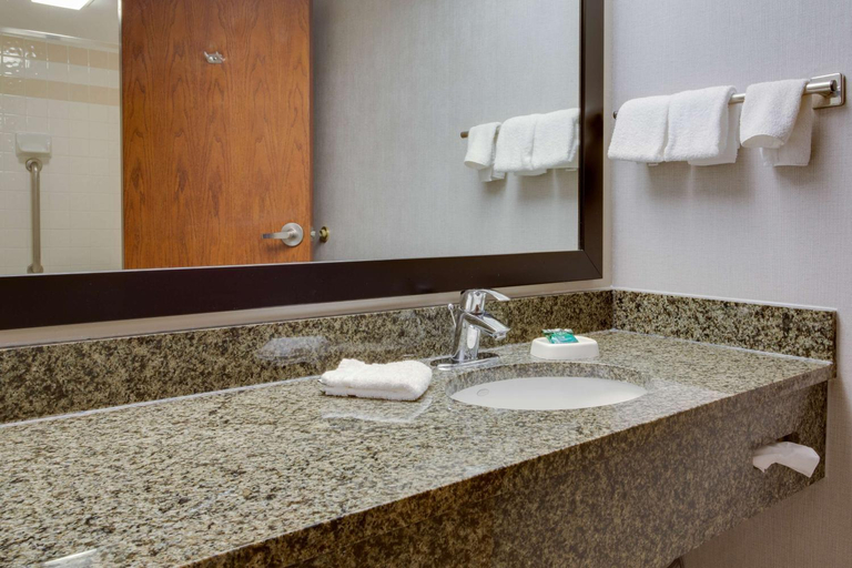Bathroom, Drury Plaza Hotel San Antonio Airport, Bexar