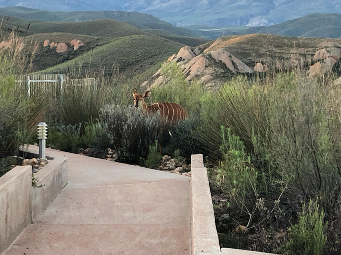 Others 3, Landrani Luxury Lodge, Eden