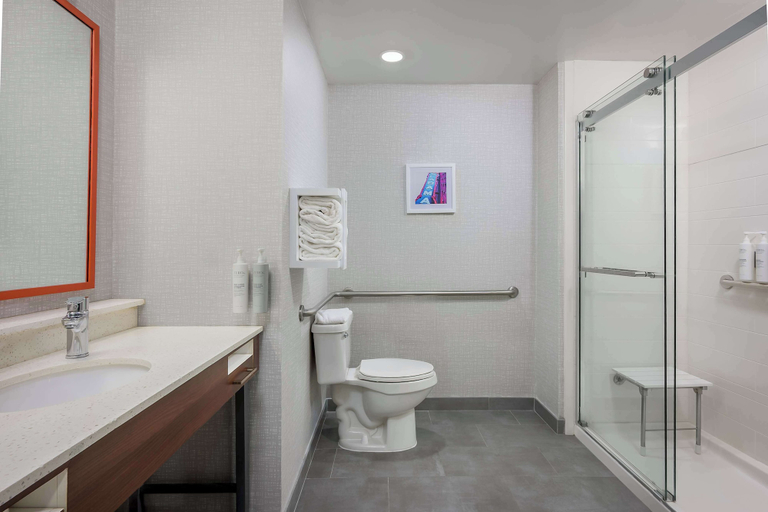 Bathroom 4, Hampton Inn & Suites Birmingham-Pelham (I-65), Shelby
