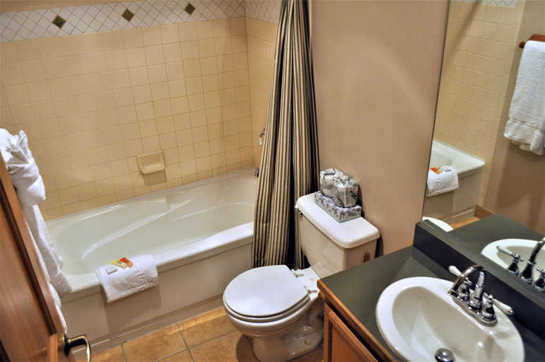 Bathroom 4, Arapahoe Lodge 1 Bed 2 Bath, Summit