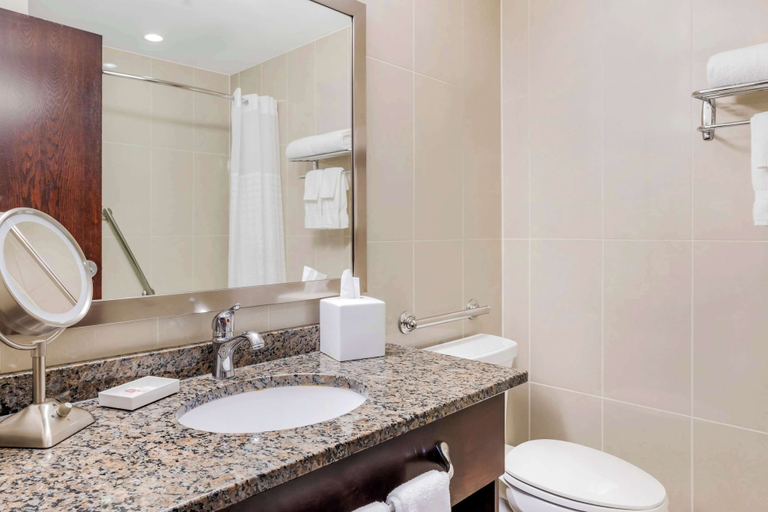 Bathroom 4, Comfort Hotel Bayer's Lake, Halifax