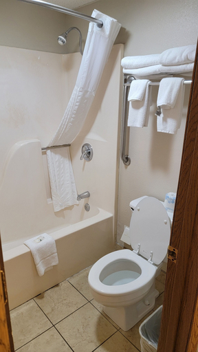 Bathroom 4, Quality Inn West-Branson Theatre District, Taney