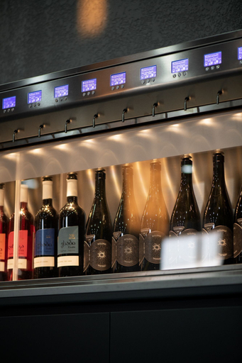 Food & Drinks 5, Eclipse Winery Boutique Hotel, Kvareli