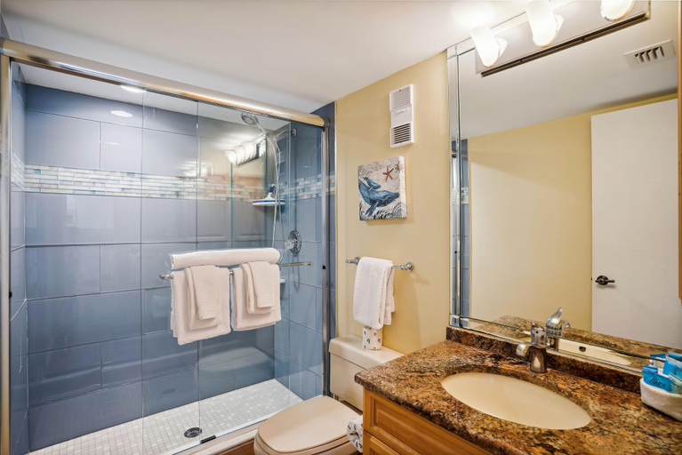 Bathroom 5, Land's End 3-204 Bay Front, Pinellas