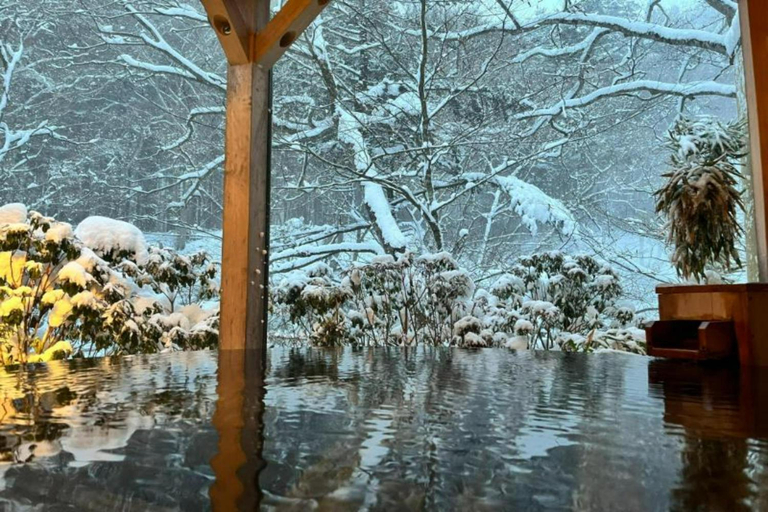 Sport & Beauty 2, Nasushiobara Shionoyu Hot Spring Rengetsu -Kyoritsu Resort, Nasushiobara