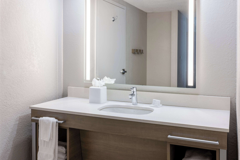 Bathroom 4, Hampton Inn & Suites Venice Bayside South Sarasota, Sarasota