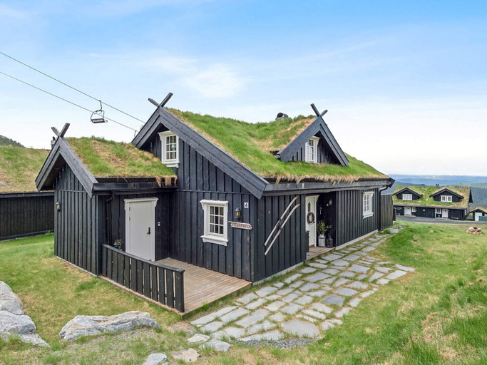 Exterior 2, 9 Person Holiday Home in Rauland, Vinje