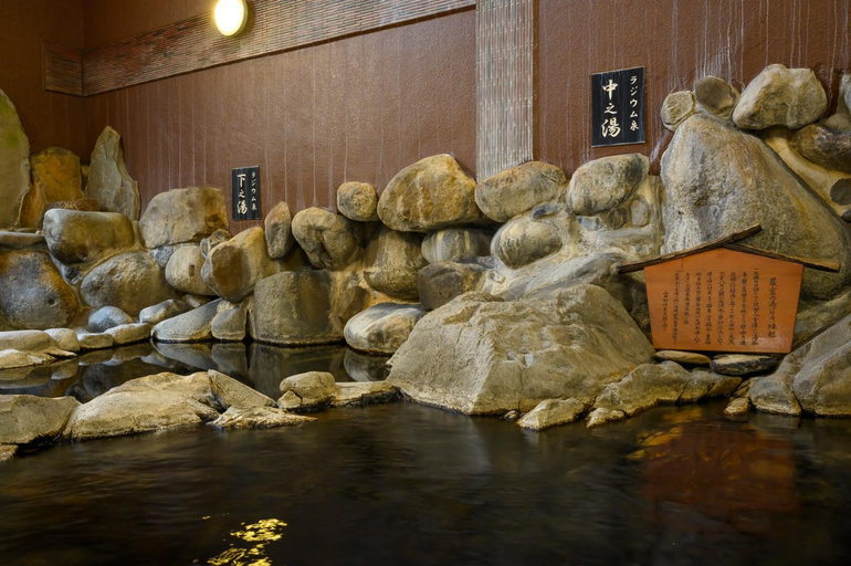Sport & Beauty 4, Ryokan Ohashi, Misasa