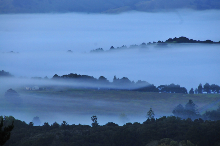 Others 5, Top Hill House, Whangarei