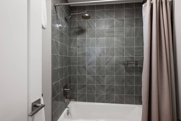 Bathroom, Tamarack Townhome #15, Pitkin