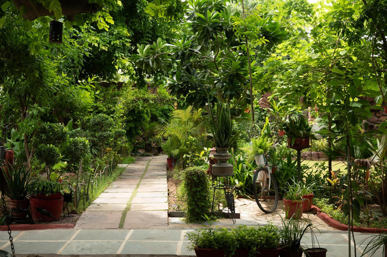 Others 3, The Mandore - a leafy resort, Jodhpur