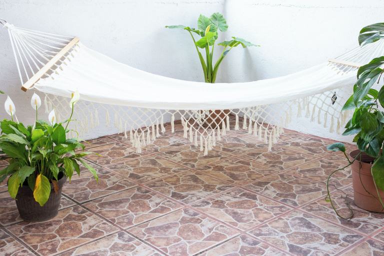 Others 5, Hikuri House, Tepoztlán