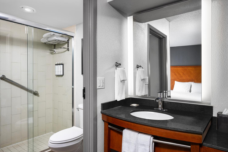 Bathroom 4, Hyatt Place Columbus/Dublin, Franklin
