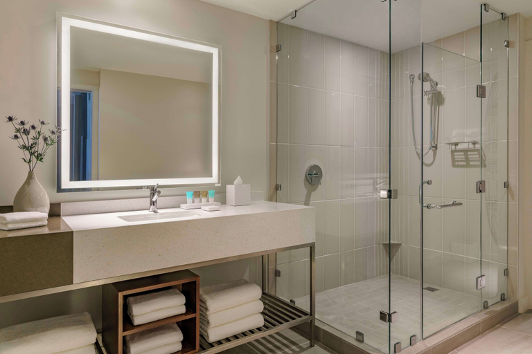 Bathroom 5, Hyatt Regency Houston/Galleria, Houston