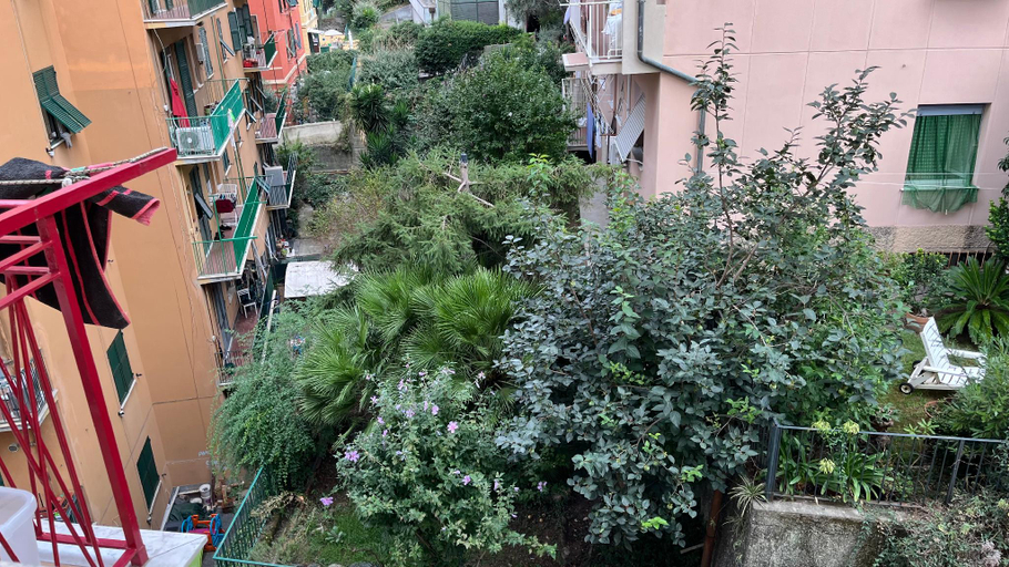 Others 5, Casalucente, Genova