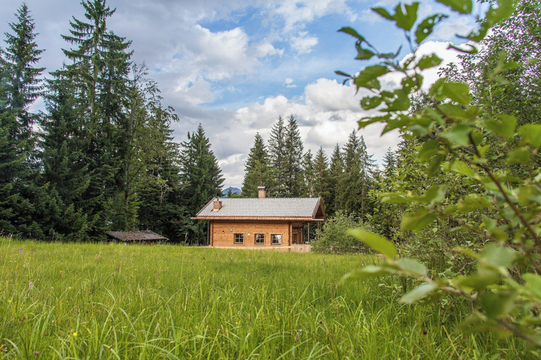 Others 4, Chalet Haberlhütte, Kitzbühel