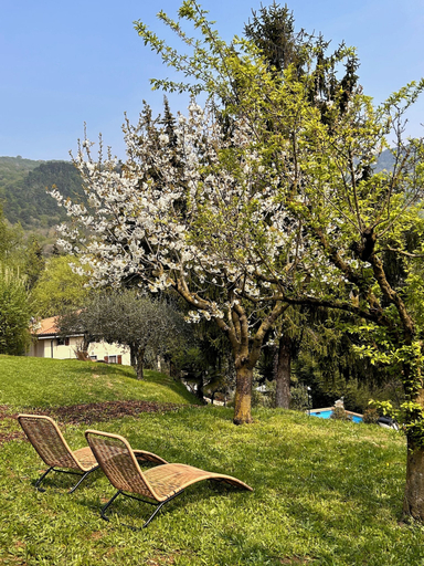 Others 5, Relais Villa Alma, Verona