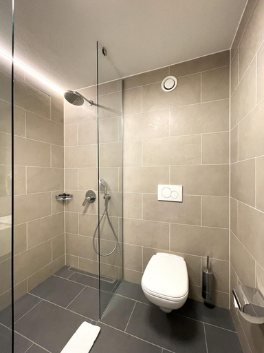 Bathroom 4, La Maison Suisse - Döttingen, Zurzach