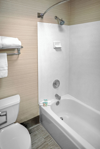 Bathroom 4, Crystal Inn Hotel & Suites Midvalley, Salt Lake
