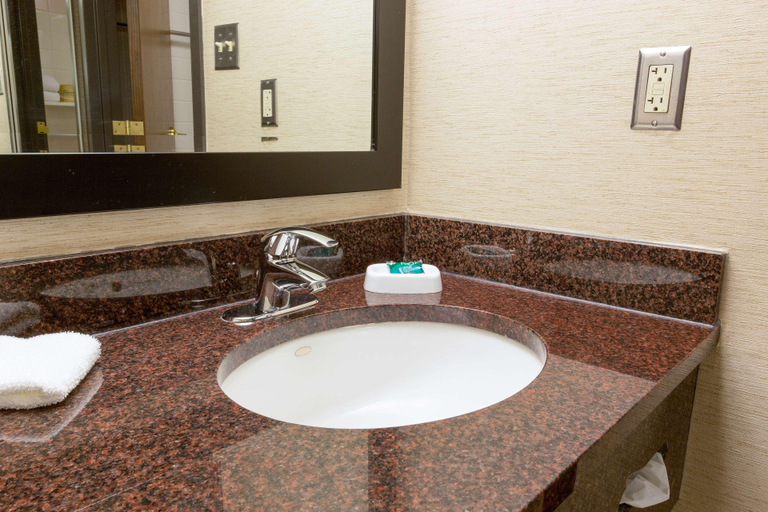 Bathroom 4, Drury Inn & Suites McAllen, Hidalgo