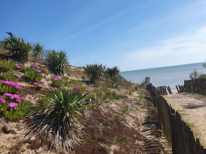 Others 5, Maison bord de mer - La Tranche sur Mer , Vendée