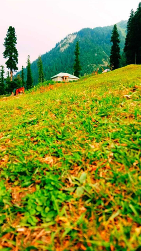 Others 3, Hotel Neel Gagan, Ganderbal