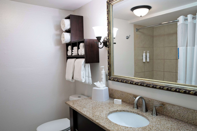 Bathroom 4, Hampton Inn Charleston-Historic District, Charleston
