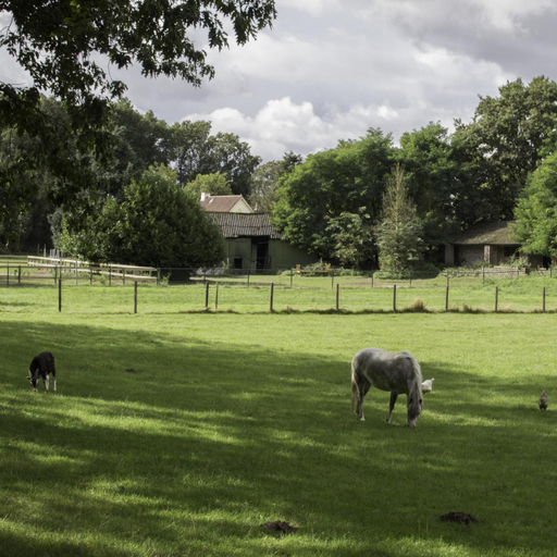 Others 5, de Bosuil, Eersel