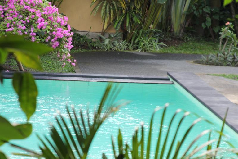 Swimming Pool 9