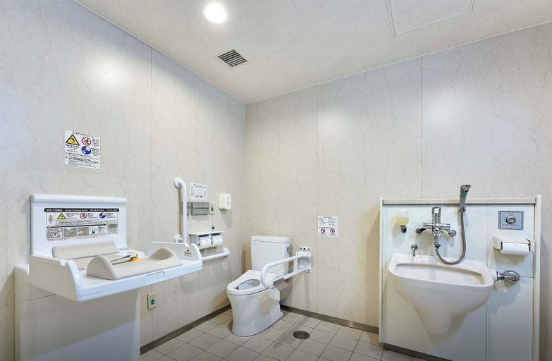 Bathroom 5, Daiwa Roynet Hotel Morioka, Morioka