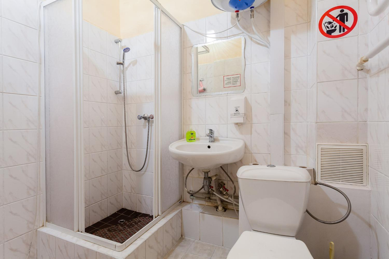 Others 4, Mini-hotel in the heart of Kiev, Holosiïvs'kyi