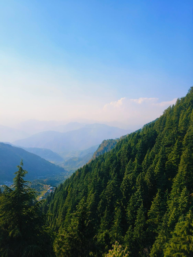 Others 3, COZY HEAVEN HOME STAY DALHOUSIE-Near Fortune Park ITC Karelanu, Chamba