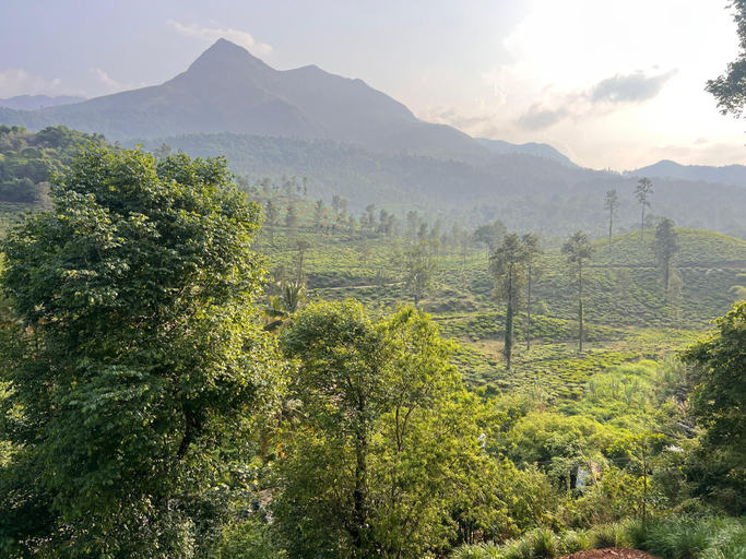 Others 5, Mountain Serenity, Wayanad