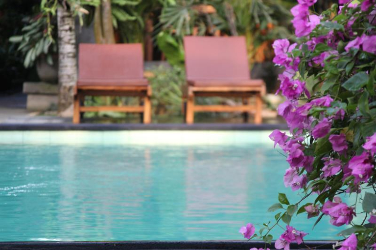 Swimming Pool 8