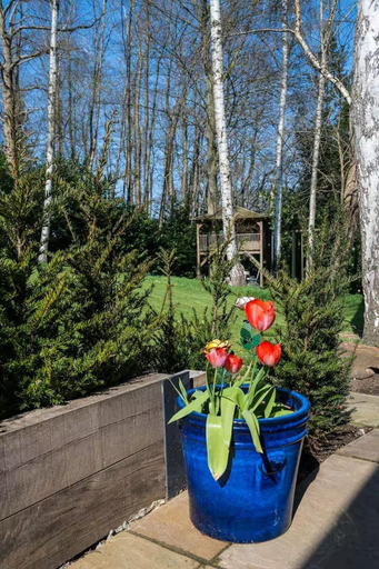 Property grounds 4, Aylesford-House-Sleeps 2 & 1 infant-Parking, Kent