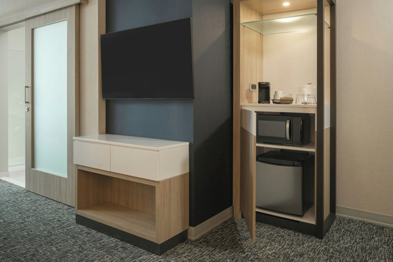 Bathroom 4, SpringHill Suites by Marriott Tampa Downtown, Hillsborough