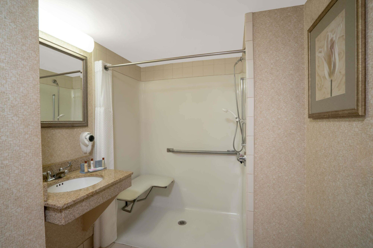 Bathroom 3, Wingate By Wyndham Charlotte Airport, Mecklenburg