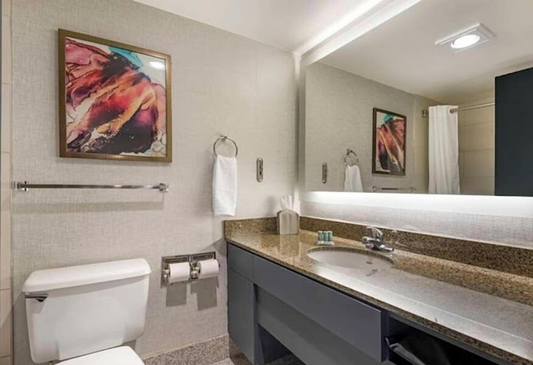 Bathroom 4, Comfort Inn Brooklyn Center, Hennepin